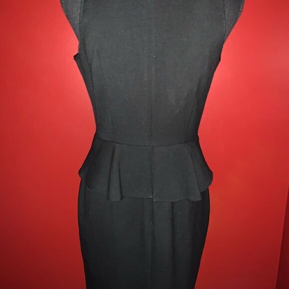 Ann Taylor Loft Dress - Picture 4 of 7